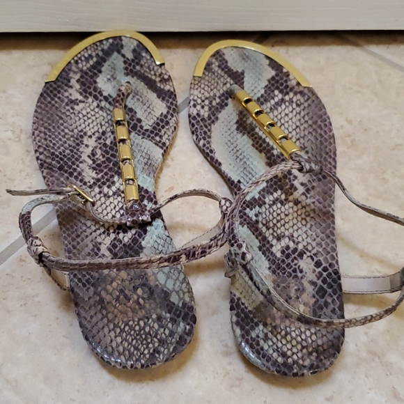 Dolce Vita Snakeskin Thong Sandals - Picture 2 of 3